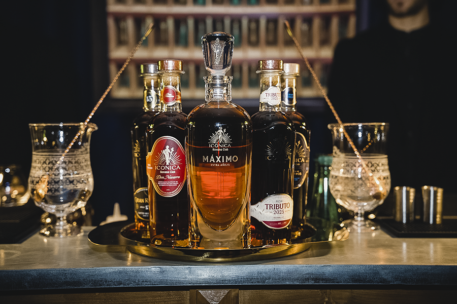 Atelier cocktail evjf avec Mix and Drink - Cours de cocktails dans le Val d'Oise